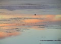 Water reflecting sunset and snowy mountain