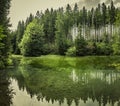 Green forest lake Royalty Free Stock Photo