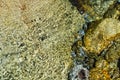 Water reflection.Water ripple.Nature background.Stones and rocks under water.Summer background.Pebbles under water