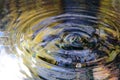 Water reflection and water drop Royalty Free Stock Photo