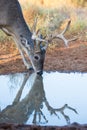 Water reflection Royalty Free Stock Photo