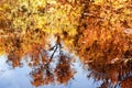 Water with reflections of autumn trees