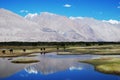 Water reflections, Ladakh, India