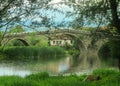 Water reflections on a medieval bridge