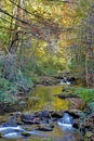 Water reflections in a small mountain stream. Royalty Free Stock Photo