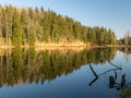 Water reflections of trees, early spring landscape, with reflection on mirror water Royalty Free Stock Photo