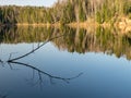 Water reflections of trees, early spring landscape, with reflection on mirror water Royalty Free Stock Photo