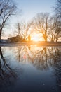 Water reflection of leafless trees and sunset