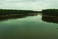 Breeding ponds in a pine forest. View from the drone. Royalty Free Stock Photo