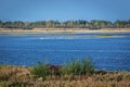 Water reservoir in Chernobyl Zone Royalty Free Stock Photo