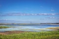 Water reservoir in Chernobyl Zone Royalty Free Stock Photo