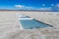 Water reservoirs on white salar surface