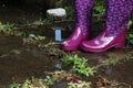 Water-resistant rubber boots in rain, flood and gardening Royalty Free Stock Photo