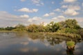 Water retention pond landscape