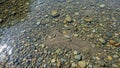 Water reveals a bed of smooth multi colored pebbles ranging in Royalty Free Stock Photo