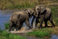 Water Rights: Elephants do battle