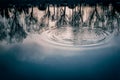 Water rings on forest lake Royalty Free Stock Photo