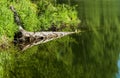 Water ripple reflection background Royalty Free Stock Photo