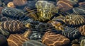 Water ripples over colorful river rocks creating abstract patterns and reflections Royalty Free Stock Photo