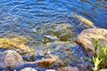 Water ripples on the shore over stones in a lake Royalty Free Stock Photo