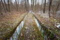 Water on the road in the forest, March day Royalty Free Stock Photo