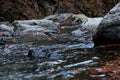 Water and rocks