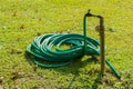 Water rubber hose on green lawn
