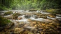 Water running in creek of North Carolina Royalty Free Stock Photo