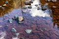 Water running down the river around rocks.