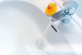 Water running from a faucet into a white sink with a rubber duck Royalty Free Stock Photo