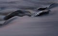 Water running freely in rapids