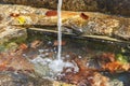 Water running on natural fountain