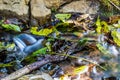 Water running over fallen leafs and rocks Royalty Free Stock Photo