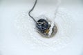 Water running in a white wash basin or bathtub with an old black rubber plug and a rusty drain, copy space, selected focus Royalty Free Stock Photo