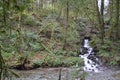 Water Runoff near Goldstream River