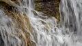 Water runoff on rocks and weeds