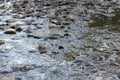 Water runs through the rocks. The creek rumbles in nature.