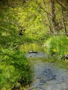 water rushing around a medium gray rock as it flows to the other side Royalty Free Stock Photo