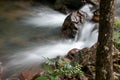 Water Rushing Down a Stream in Savannas of Brazil Royalty Free Stock Photo