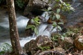 Water Rushing Down a Stream in Savannas of Brazil Royalty Free Stock Photo