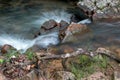 Water Rushing Down a Stream in Savannas of Brazil Royalty Free Stock Photo