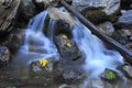 Water rushing over rocks colorful leaves, yosemite falls,california Royalty Free Stock Photo