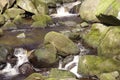 Burbage brook in Padley woods, Derbyshire in Spring