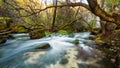 Water rushing into a river in the woods. Nature Royalty Free Stock Photo