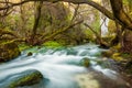 Water rushing into a river in the woods. Nature Royalty Free Stock Photo