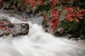 Water rushing by a rock in a river forming a smooth, abstract, painted appearing pattern. Royalty Free Stock Photo