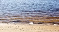 Water\'s edge on the shore. Wave of blue sea on sandy beach