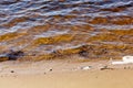 Water\'s edge on the shore. Wave of blue sea on sandy beach