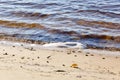 Water\'s edge on the shore. Wave of blue sea on sandy beach