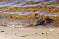 Water\'s edge on the shore. Wave of blue sea on sandy beach